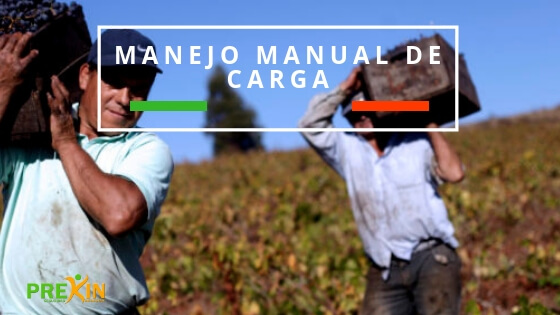 manejo manual de carga